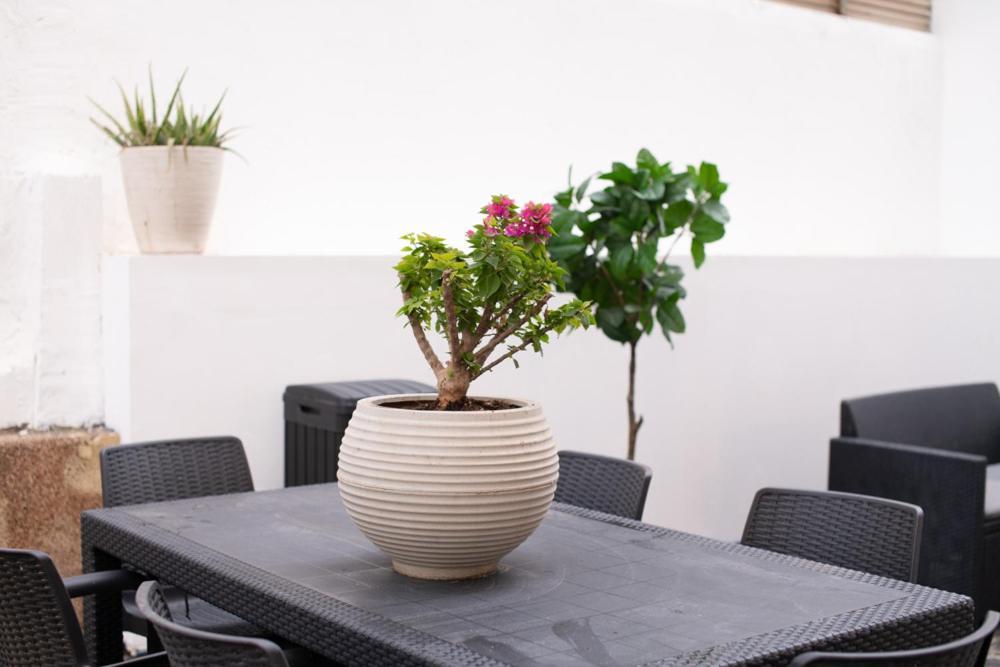 Sublet Tlv 270 Διαμέρισμα Τελ Αβίβ Εξωτερικό φωτογραφία
